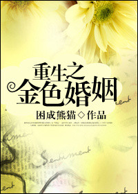 重生之金色婚姻小說封面