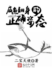 鹹魚繙身的正確姿勢小說封面