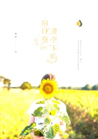 澄空下的向日葵小说封面