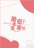 蕭先生寵妻手冊小说封面