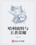 哈利波特和皇室战争的区别 哈利波特和皇室战争的区别