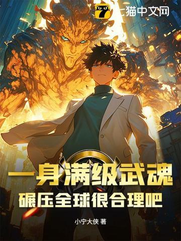 一身满级武魂 一身满级武魂