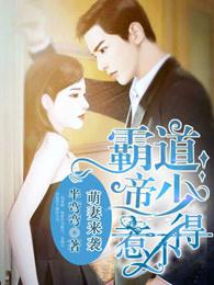 霸道帝少惹不得免费阅读全集 霸道帝少惹不得免费阅读全集